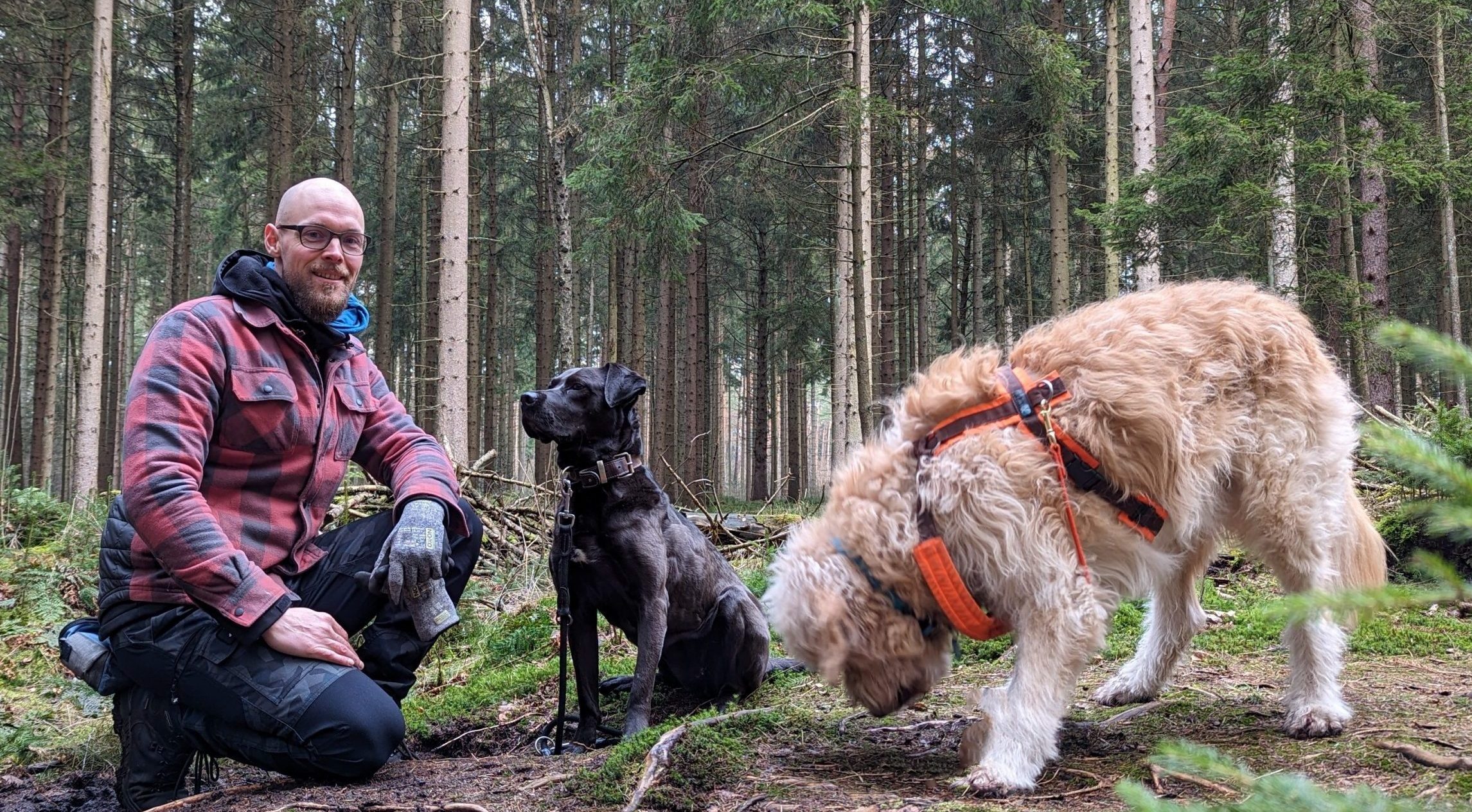 hundesitter norderstedt hundebetreuung norderstedt glückliche schnauze norderstedt dog sharing norderstedt gassi gehen norderstedt gassi service norderstedt hundebetreuung hundebetreuung hamburg langenhorn hundesitting hundetagesstätte norderstedt Gassiservice Norderstedt Hundebetreuung Norderstedt Gassi gehen Norderstedt Dogwalker Norderstedt