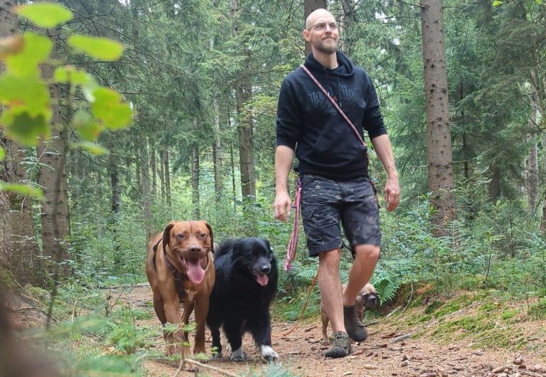 hundesitter norderstedt hundebetreuung norderstedt glückliche schnauze norderstedt dog sharing norderstedt gassi gehen norderstedt gassi service norderstedt hundebetreuung hundebetreuung hamburg langenhorn hundesitting hundetagesstätte norderstedt Gassiservice Norderstedt Hundebetreuung Norderstedt Gassi gehen Norderstedt Dogwalker Norderstedt