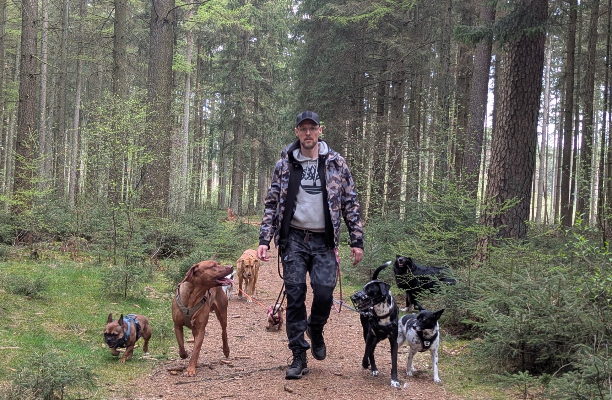 hundesitter norderstedt hundebetreuung norderstedt glückliche schnauze norderstedt dog sharing norderstedt gassi gehen norderstedt gassi service norderstedt hundebetreuung hundebetreuung hamburg langenhorn hundesitting hundetagesstätte norderstedt Gassiservice Norderstedt Hundebetreuung Norderstedt Gassi gehen Norderstedt Dogwalker Norderstedt
