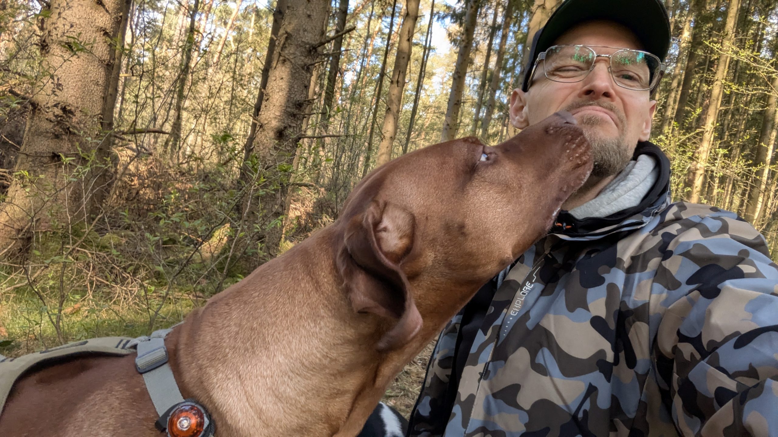 hundesitter norderstedt hundebetreuung norderstedt glückliche schnauze norderstedt dog sharing norderstedt gassi gehen norderstedt gassi service norderstedt hundebetreuung hundebetreuung hamburg langenhorn hundesitting hundetagesstätte norderstedt Gassiservice Norderstedt Hundebetreuung Norderstedt Gassi gehen Norderstedt Dogwalker Norderstedt